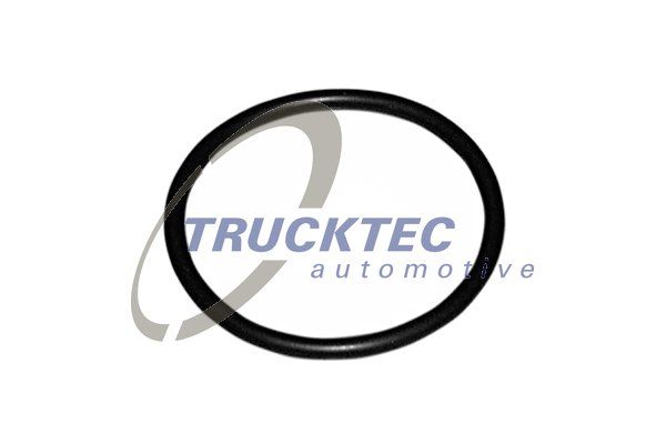 TRUCKTEC AUTOMOTIVE Tiiviste, termostaatti 07.19.039